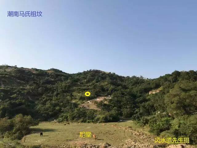 梦到挖新坟_梦见挖新坟_梦见新挖的坟坑是什么意思