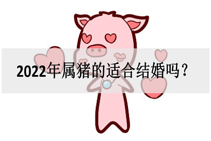 1995年和什么属相配对_1995属相婚配_1995年属什么生肖配对