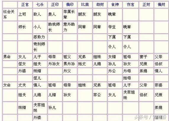 亲人十神代表什么动物_十神代表的亲人_十神所代表的亲人