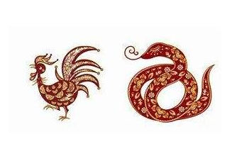属鸡和什么婚配_属相婚配鸡配什么_属鸡的婚配属相最好
