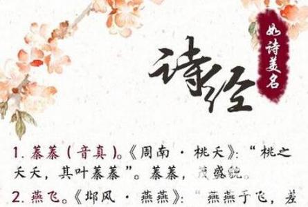女孩取名有典故_取名典故女孩有哪些名字_取名典故女孩有什么寓意