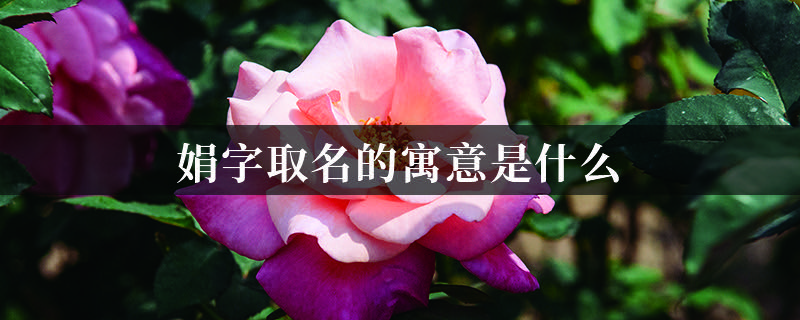 寓意好的诗句起名字_好诗句取名字_适合取名好寓意的诗句