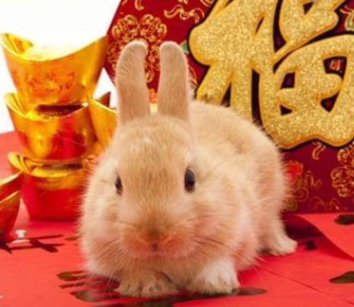 属兔的87年属相配对_兔年属相婚配表_兔年和什么属相最配