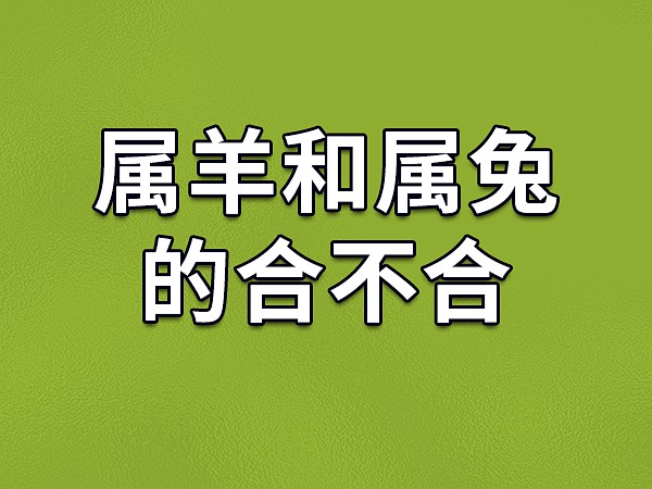 兔年和什么属相最配_属兔的87年属相配对_兔年属相婚配表