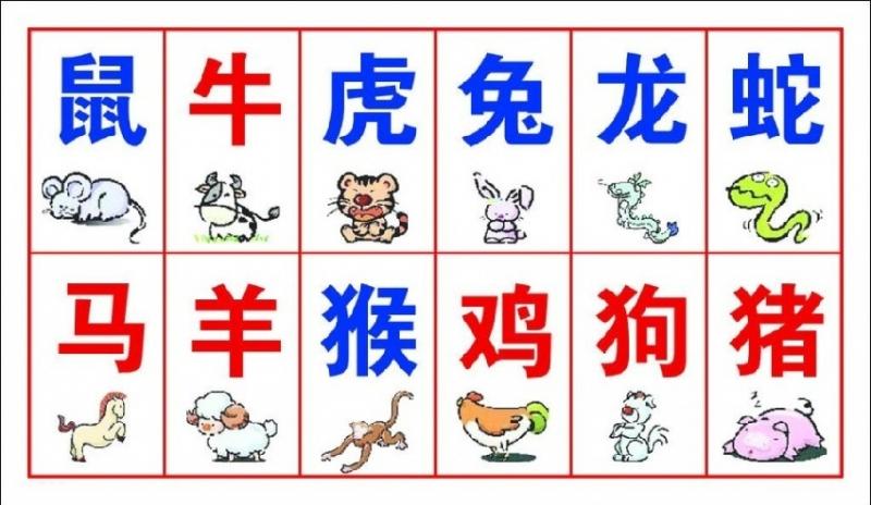 婚姻属相配对查询表_配对属相查询婚姻表最新_配对属相查询婚姻表图片