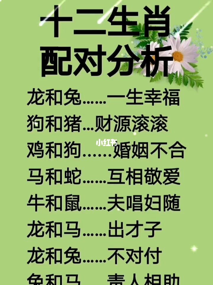 属相配对表 查询_配对属相查询表图片_属相配对查询免费