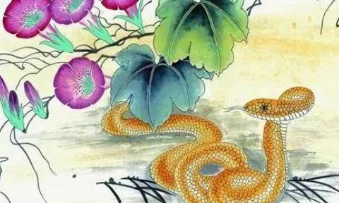 十二生肖2023运程属蛇_生肖蛇在2023年的运势_属蛇人2023年的运势
