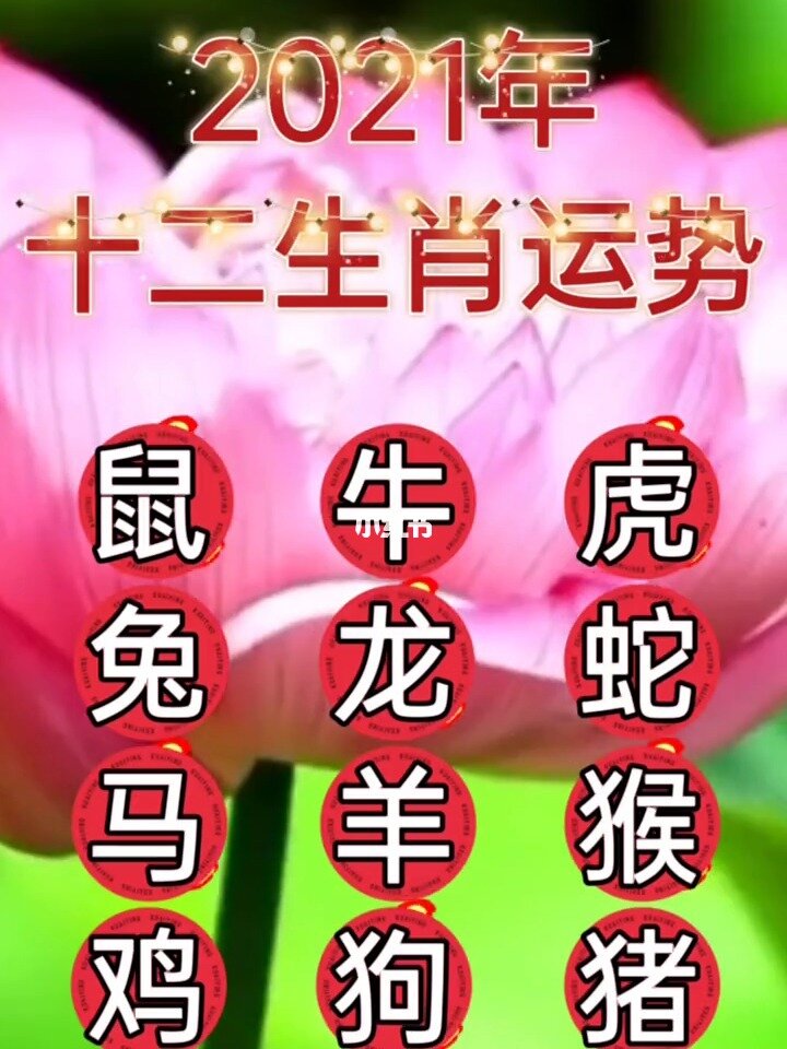 2023年各属相运势_2023年运程十二生肖运程属_2023属相全年运势