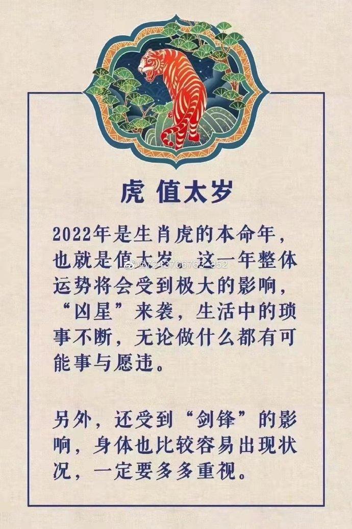 属虎的2023年运势_属虎在2023年虎年运势_98属虎人2023年运势