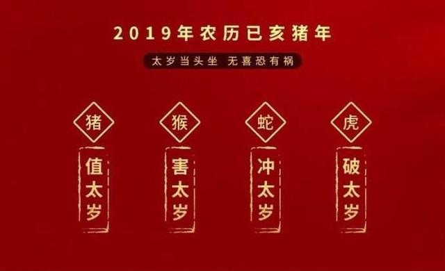 2023年属马运势及运程_属马运势2023年运势_属马运势2023年运势详解