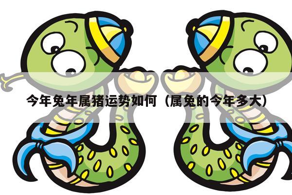 属相运势年月日时_12属相2023年运势_2023年运程十二生肖运程属