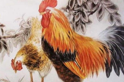 蛇鸡属相配么_属蛇配鸡怎么样_年份属鸡时辰属蛇和什么属相配