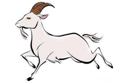 生肖蛇配鸡的婚姻_蛇鸡属相配么_年份属鸡时辰属蛇和什么属相配
