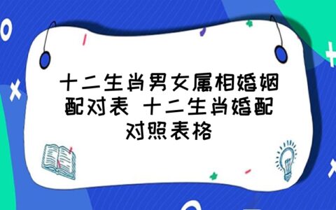 生肖配对得分_配对生肖查看_婚姻生肖配对查询
