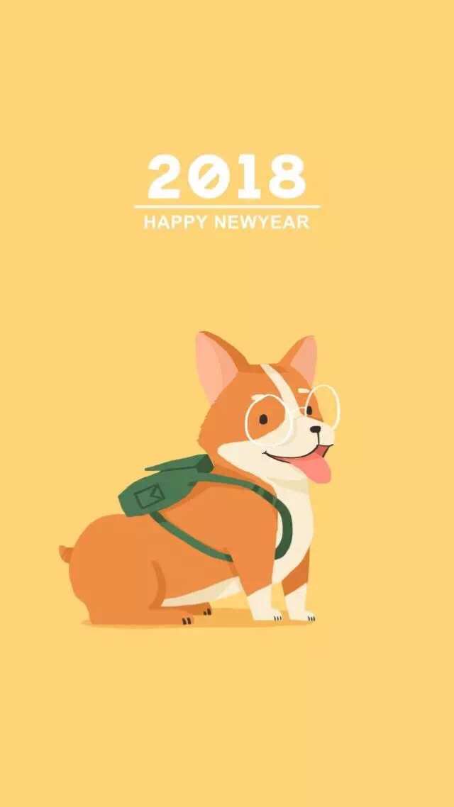 乙未年运程_乙未大运特点_乙未年今年运势