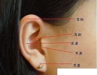 麻衣相术脸部图解大全_脸部相术大全_麻衣相术图解大全
