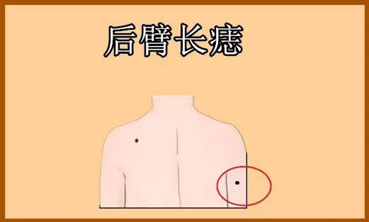 姻缘测试 夫妻_测试夫妻缘分免费_夫妻姻缘免费测试