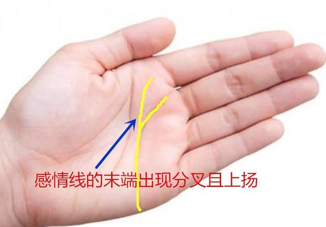 离婚的手相感情线分叉_手掌离婚线_手掌离婚线怎么看
