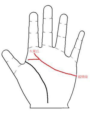 离婚的手相感情线分叉_手掌离婚线_手掌离婚线怎么看