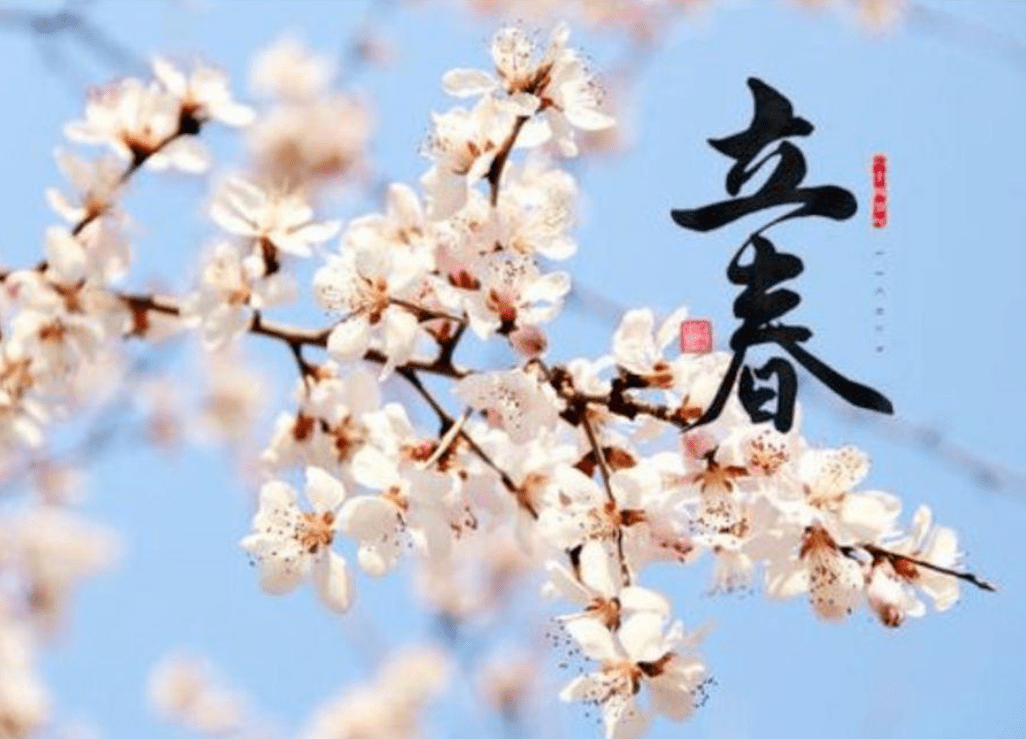 属相蛇的婚姻配对_属相婚配蛇_属蛇属相婚配表
