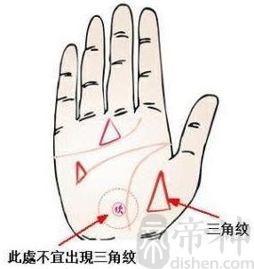 看手相离婚线_离婚的手相感情线分叉_手掌离婚线怎么看