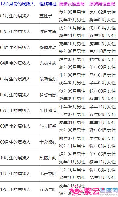 属相配对猪_属相猪的婚配表大全_95属猪的属相婚配表