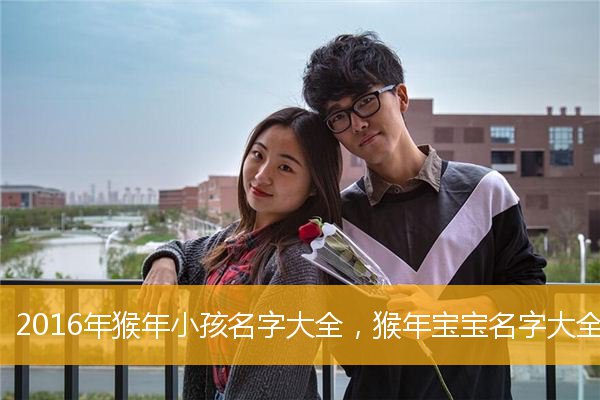猴宝宝取名宜用字男孩_猴起名字大全男孩_猴宝宝起名大全男孩子