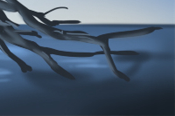 属相兔男和什么配最佳_属兔最佳婚配男_男属兔的属相婚配表