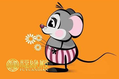 2023运势最好的属相_属相2022运势_24年什么属相运势好