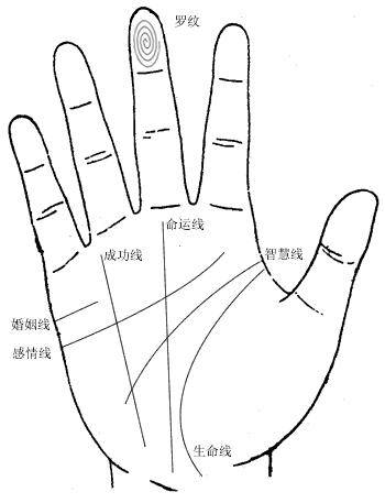 财运线和成功线是在哪_财运线成功线_财运线是什么意思