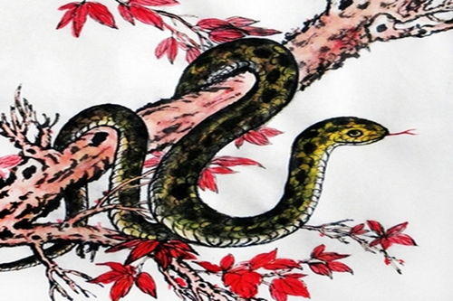 蛇今曰运势_蛇人今曰运程_蛇人今日运程