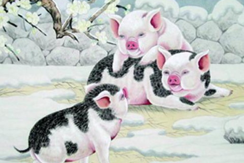 猪蛇配婚姻好不好_猪和蛇相配婚姻如何_猪蛇婚配的婚姻如何
