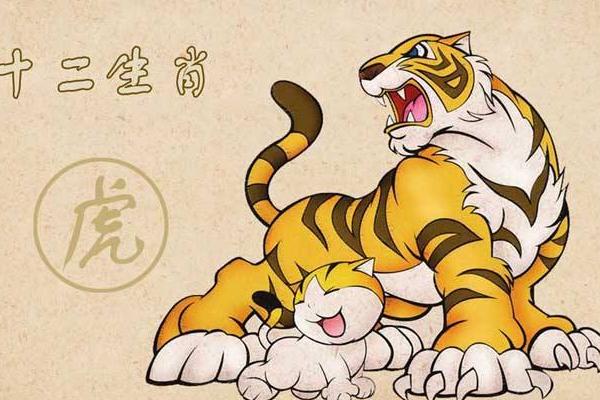 属相婚配虎和鸡能在一起吗_虎婚配属相_属相婚配虎和兔能在一起吗