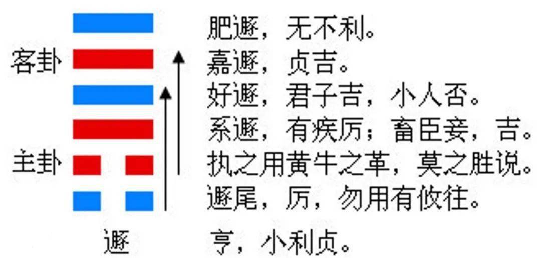 2023年运程十二生肖运程属_2023年属相运势完整版_2023属相运势大解析