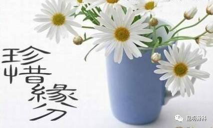 相遇就是缘分_缘分相遇是意外什么歌_缘分相遇是什么意思
