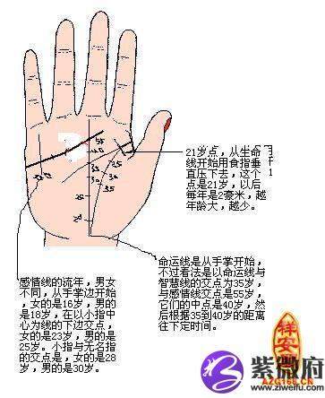 手上没有命运线_手相命运线没有中指怎么办_手相中没有命运线