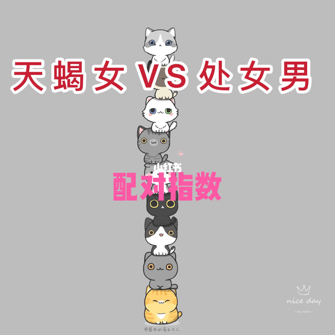 配天蝎座的星座_天蝎座与12星座配对_天蝎星座配对