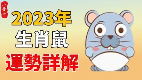 属鼠2023年整体运势_2023属鼠的人全年运势_2023年属鼠的运程