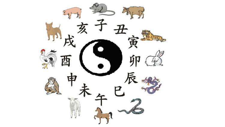 2023年属相运势_属相运势年月日时_2023年运程十二生肖运程属