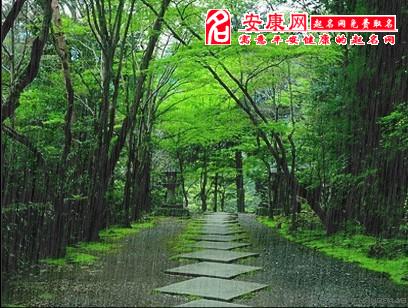 做梦梦到离家出走的人回来了_梦见结婚后离家出走是什么意思_梦里离家出走了