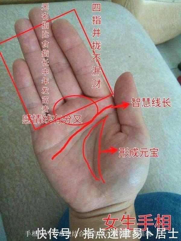 手相的财运线_手相成功线 财运线详解_手线的财运线分解图片大全