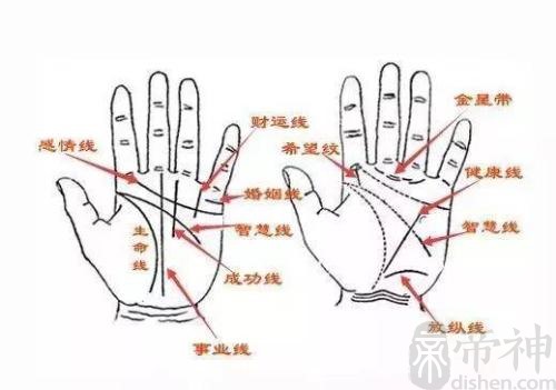 看手相财运线_手相成功线 财运线详解_手相学财运线
