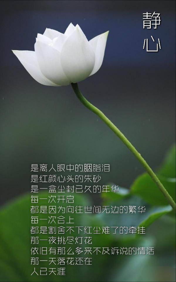 缘分话语_关于缘分的话_缘分话题