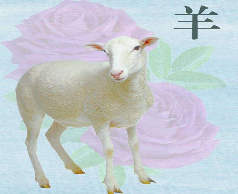 生肖运势2023年运势大全_属相2022运势_2023运势最好的属相