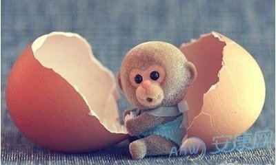 猴宝宝取名字大全_猴宝宝好听的名字_猴宝宝起名