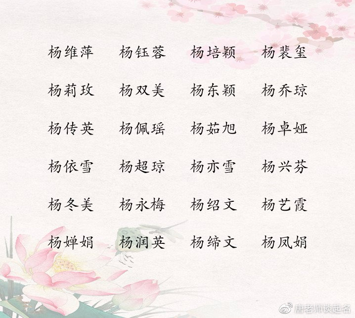 姓杨男宝宝起名_2021年给男宝宝起名姓杨_杨男宝宝取名