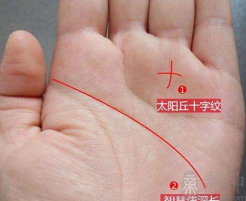 偏财运手相图解十字纹_手相偏财纹是什么意思_命中注定有偏财的手纹
