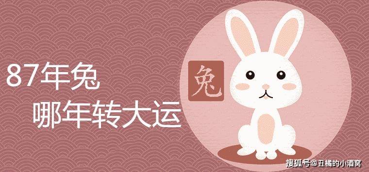 1987年婚配表_1987年的婚配最好_属相婚配1987年属什么