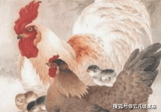 属鸡2023年的运势_69年属鸡2023年运程每月运势_属鸡2023年运势及运程每月