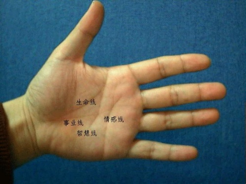 在线手相算命_算命手相免费_算命在线手相分析
